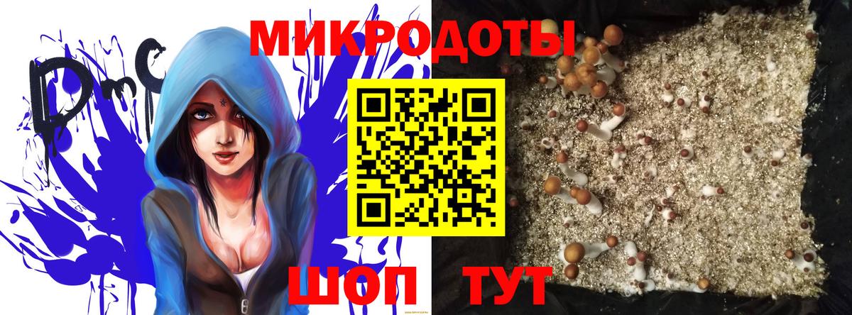 Советская Гавань  наркота  Вход с VPN  Псилоцибиновые грибы прущие грибы 