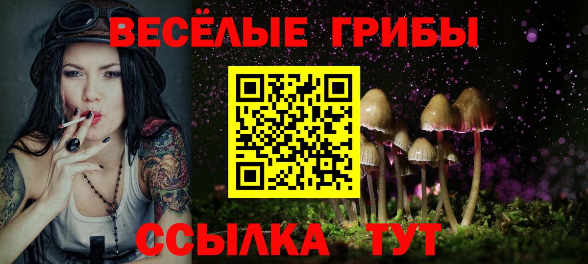 Галлюциногенные грибы Psilocybe Советская Гавань
